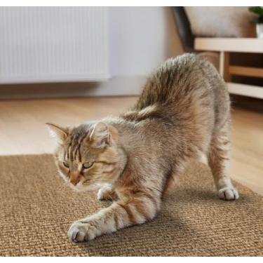 Imagem de Arranhador Adesivo Premium: Sofá, Cama e Móveis Para Gato - Protetor Pet (BEGE,50X50cm)