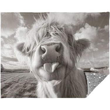 Imagem de Cobertores engraçados de vaca Highland preto e branco para cama 177,8 cm x 139,7 cm, cobertores macios grandes para mulheres, cobertor de sherpa personalizado cinza