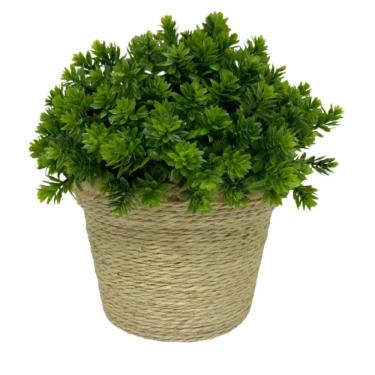 Imagem de Vaso médio de plástico com corda sisal revestida e planta