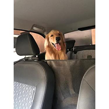 Imagem de Capa de Banco Dothi