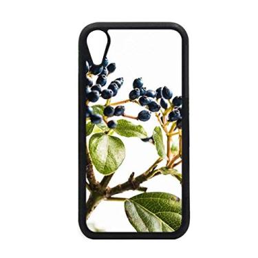 Imagem de Capa para iPhone XR com imagem de planta de folha branca e natureza simples para proteção de telefone Apple