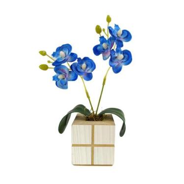 Imagem de Arranjo Mini Orquídea em Vasinho Quadrado Cachepot - Nacional , Azul