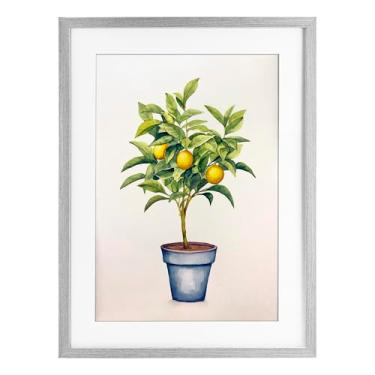 Imagem de Stupell Industries Impressão emoldurada de planta serenata cítrica cinza design sob vidro por Andrea Haase, 23 x 17