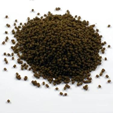 Imagem de Ração Dr Bassleer Biofish Food Regular 68g Xl Alimento Base
