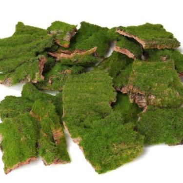 Imagem de BYHER Casca de musgo artificial variada, casca de árvore decorativa com musgo para artesanato DIY, jardins de fadas, terrários, arranjos florais (verde realista - 100 g)