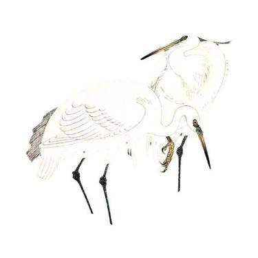 Imagem de Pintura Em Tela Vintage De Peixe Dourado, Lótus, Coruja E Grulla, Arte