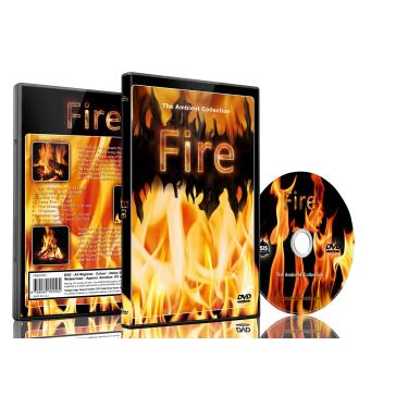 Imagem de Fire DVD Shot in HD - Looping Scenes of Fireplaces,Camp Fires,Wood Filres, Log Fire