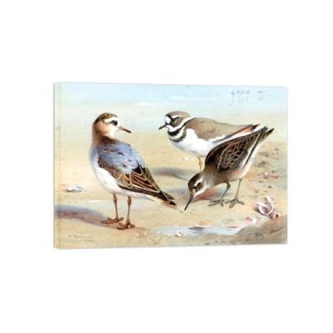 Imagem de Animais Pinturas Famosas Arte Parede-Fotos Lona para Sala de Estar-Pequenos pássaros-Pôster e Imprimir Decoração 50x70cm20x27in Tela Embrulhada