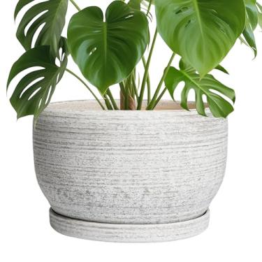 Imagem de SQOWL Vaso de plantas de 25 cm - Vaso de cerâmica com orifício de drenagem e pires, vaso de flores decorativo para plantas internas e externas, vaso redondo, cinza escovado