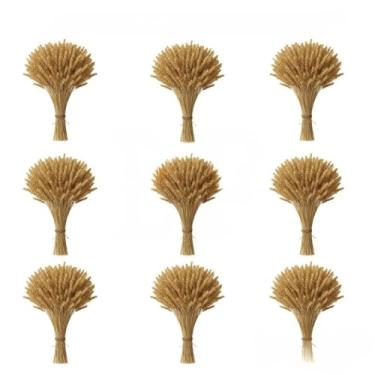 Imagem de 400 Hastes De Trigo Seco Para Decoração Festa Junina Arraiá Enfeites Artigos Mesa Arranjo Elegante(09 Maços (360 Hastes))