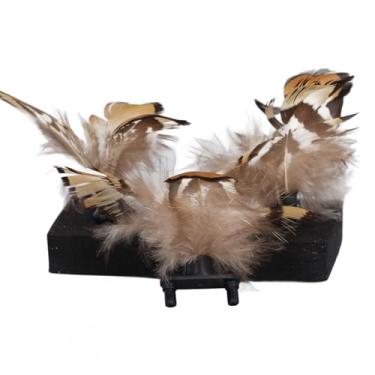 Imagem de Brinquedos de Penas de Gato, Brinquedos Interessantes de Plástico Interativo para Gatinhos Macios 3 Peças para Interior para Sala (Preto)