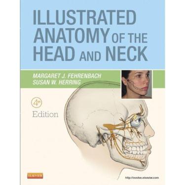 Imagem de Illustrated Anatomy Of The Head And Neck