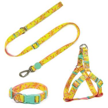 Imagem de Conjunto Peitoral Guia e Coleira para Cachorro MADOG Floral, M