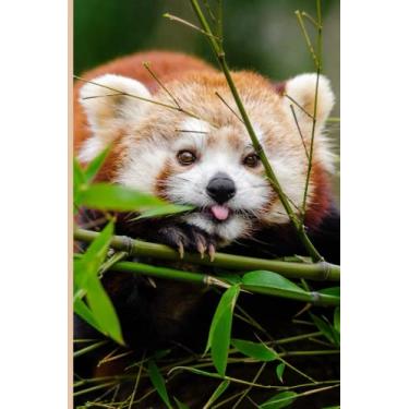 Imagem de Notebook: Red Panda Cute Notebook Journal For Animal Lovers | 6x9 120 Pages College Ruled Journal Diary