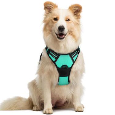 Imagem de Arnês para cães rabbitgoo No Pull Adjustable Turquoise M