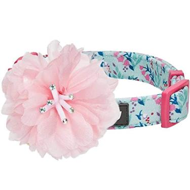 Imagem de Coleção Floral de Aroma de Mola com Estampa de Animais de Estimação da Blueberry Pet 20+ - Colarinhos, Coleiras de Arreios ou Correias para Cães, Cordões Combinando para Amantes de Animais de Estimação, Personalizados para ColeirasBlueberry Pet Regular Collar - Large TRBO1-20JN25524