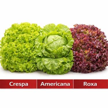 Imagem de Kit Sementes Alface Fácil de Plantar para Horta Caseira - SAKATA