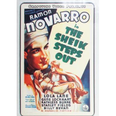 Imagem de Sheik Steps Out