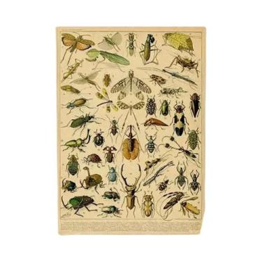 Imagem de Cartazes Vintage com Estampa de Cogumelos, Frutas e Vegetais - Arte Bo