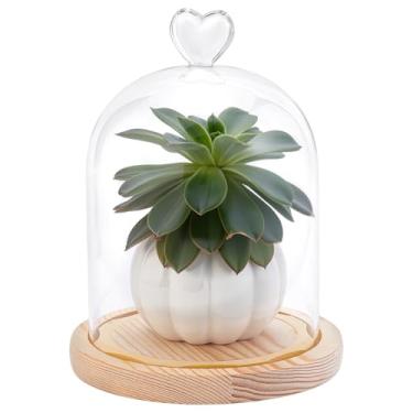 Imagem de WADORN Cúpula de vidro cloche transparente, 7,9 x 5,6 polegadas com alça superior de coração, caixa de exibição com base de madeira bege para colecionáveis, plantas antigas à prova de poeira