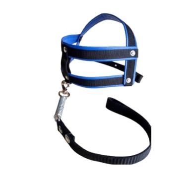 Imagem de Coleira Peitoral para Cachorro Personalizada com Nome e Telefone – Guia Anti Puxão Reforçada Roxa(PPP (4kg até 6kg),Azul com preto)