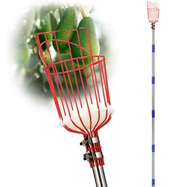 Imagem de DonSail Pomelo Ferramenta para apanhar frutas com cesta, cabo longo telescópico, 89 a 239 cm, ferramenta de apanhador de maçã laranja ajustável com cesta para colhedor de abacate, bolota, limão, pera,