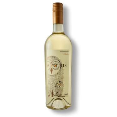 Imagem de Vinho Branco Italiano Asio Otus Enigmatico 750ml