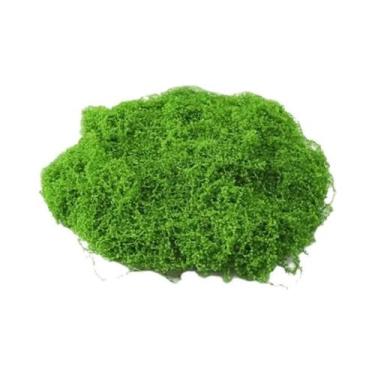 Imagem de Mini Plantas Verdes Artificiais, Grama Falsa E Musgo Para Decoração De