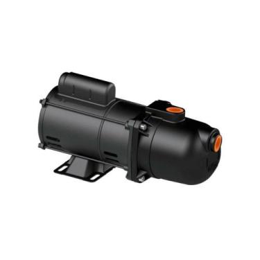 Imagem de Bomba Autoaspirante Pratika AP-2R Bivolt Dancor