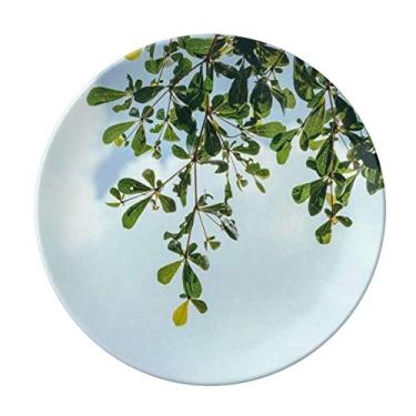 Imagem de Prato de céu azul de folhas verdes decorativo de porcelana salver louça de jantar
