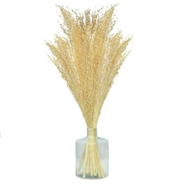 Imagem de Arranjo de Flores Desidratadas Capim Branco + Vaso de Vidro Decor