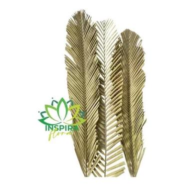 Imagem de 3 Folhas De Palmeira Latania Alvejada Decoração Painel Decor - FLORA F