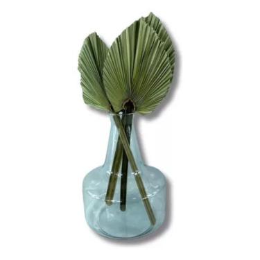 Imagem de Vaso Garrafa Passione De Vidro Com Mini Latania Decoração - FLORA FULL