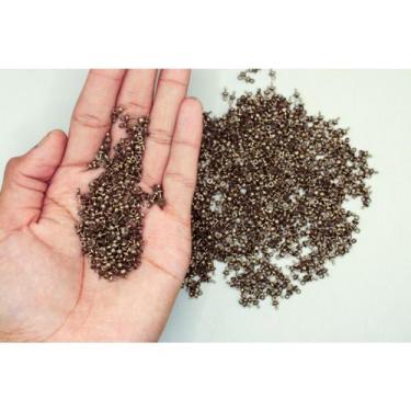 Imagem de Flor de Resina com Furo Passante - 15mm - 5 unidades - Japamalas, Aces