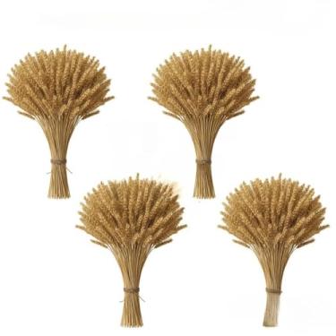 Imagem de 400 Hastes De Trigo Seco Para Decoração Festa Junina Arraiá Enfeites Artigos Mesa Arranjo Elegante(04 Maços (160 Hastes))