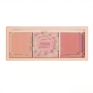 Imagem de Paleta de Blush Iluminador Pele Brilho Natural Tons Expertamente Coordenados Leve Misturável Calmante Maquiagem para Garotas e Mulheres