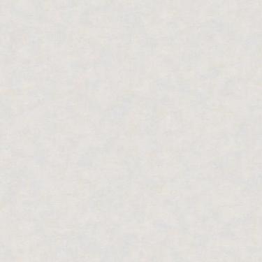 Imagem de Papel De Parede Nature Cimento Queimado Cinza Tonu8003