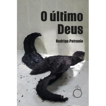 Imagem de Livro - O último Deus