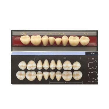 Imagem de Dente Dent Clean Posterior 32M Inferior - Imodonto