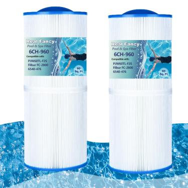 Imagem de Real Fancy Cartucho de filtro de spa 6CH-960 filtros de substituição J-300, J-400, 6CH-960, FC-2800, PJW60TL-F2S, filtro de banheira de hidromassagem com alça fechada, 60 pés quadrados, pacote com 2