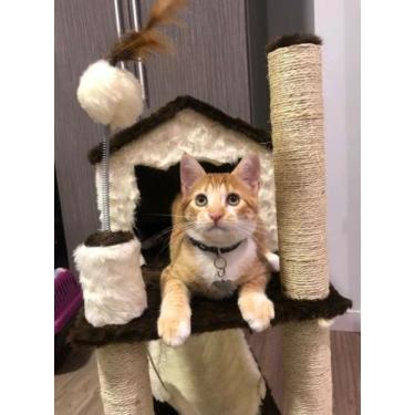 Imagem de Arranhador de gato casa  - Tundera Pet, creme