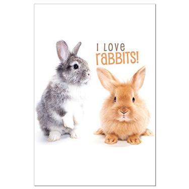 Imagem de Tree-Free Greetings - Cartões para todas as ocasiões - Designs artísticos - 12 cartões comemorativos + envelopes brancos - Feito nos EUA - 100% papel reciclado - 10 x 6 - I Love Rabbits (FS56358)