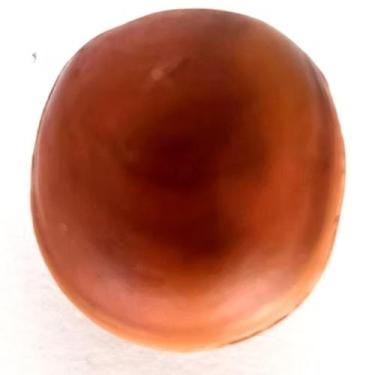 Imagem de Olho de Boi Mucunã Semente Umbanda Proteção Espiritual Ritual Exu e Po