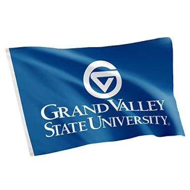 Imagem de Desert Cactus Bandeira GVSU da Grand Valley State University - Banner Lakers de 9,8 x 1,8 m, tecido durável interno/externo, design 100% poliéster (estilo 2)
