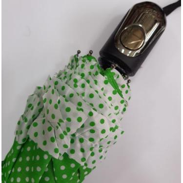 Imagem de Sombrinha Guarda Chuva Automática Grande Resistente Feminina - haifuda