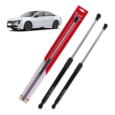 Imagem de Cinoy Amortecedor Tampa Traseira Peugeot 206 99-10 307 02-15, 307 2002