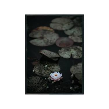 Imagem de Quadro Decorativo Flor De Lotus Moldura Preta 24X18Cm - Quadros On-Lin
