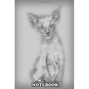 Imagem de Notebook: Kitten Lykoi Cat 7 Weeks Old Also Called The Werewolf C , Journal for Writing, College Ruled Size 6" x 9", 110 Pages