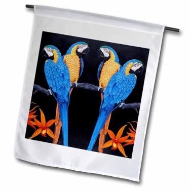 Imagem de 3dRose fl_3213_1 Bandeira de jardim araras de ouro azul, 30,8 x 45,8 cm