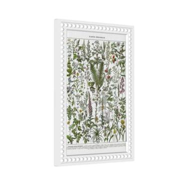 Imagem de Poster Of Wild Green Plant Species 1 Gang Light Switch Cover No Decive Placa de parede em branco decorativa para banheiro, casa, sala de estar, quarto, painel de arte decorado